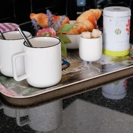 Le Joyau Des Parcs Classe 4 Etoiles Au Calme Avec Terrasse فيشي